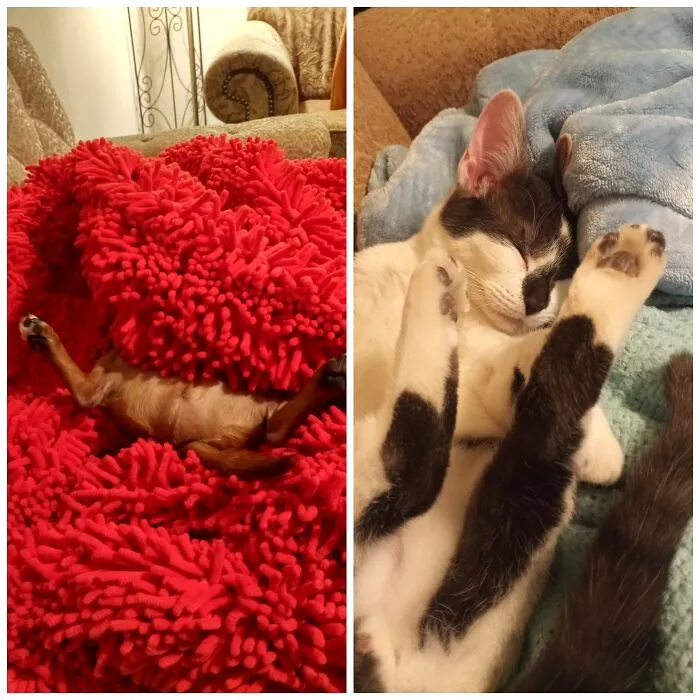 Maybe It's The Couch?