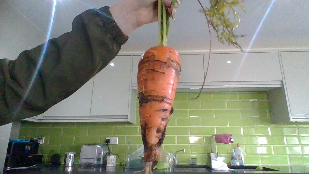 Post A Picture Of The Biggest Vegetable You Have Ever Grown