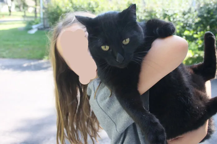 My Cat Isn't Sure Whether` He Wants To Get Down Or Stay With My Sister