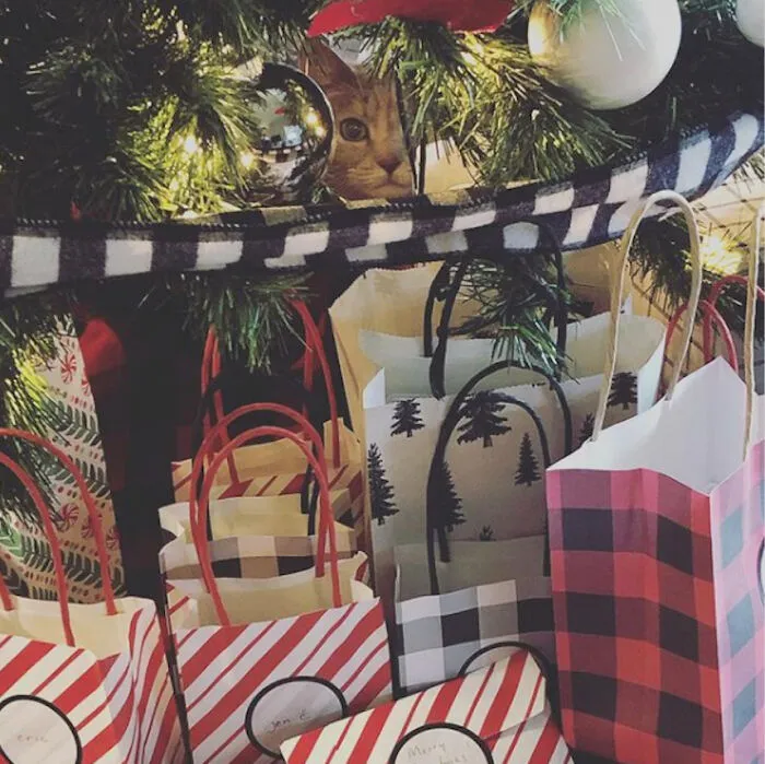 That's A Funny Looking Ornament