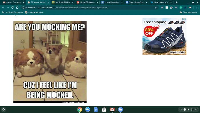 This Is A Random Meme I Saw And So I Took A Sreen Shot Of It