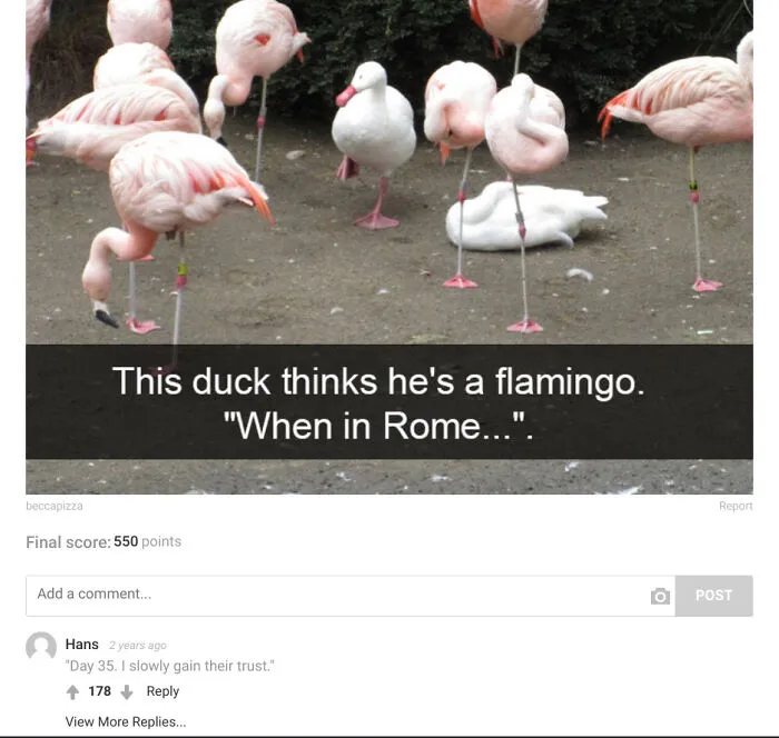 Impostor