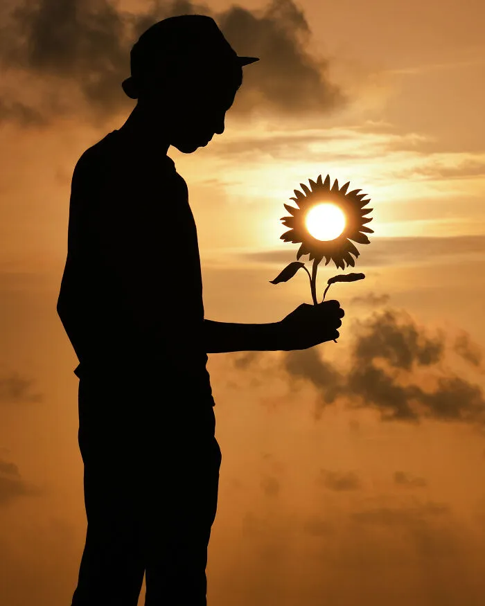 The Sunflower