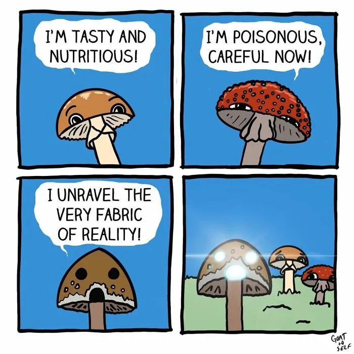 40 Ridiculously Absurd And Funny Comics By Canadian Artist