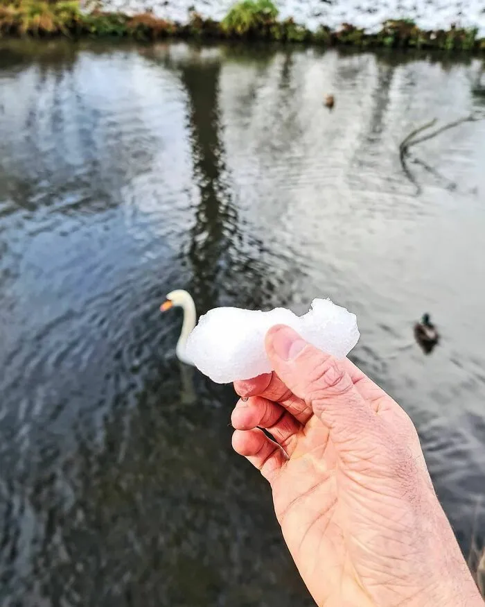 40 Fotografías que muestran perfectamente el poder de la perspectiva