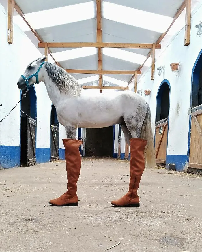 This Photographer Captured 40 Photographs Which Perfectly Show The Power Of Perspective