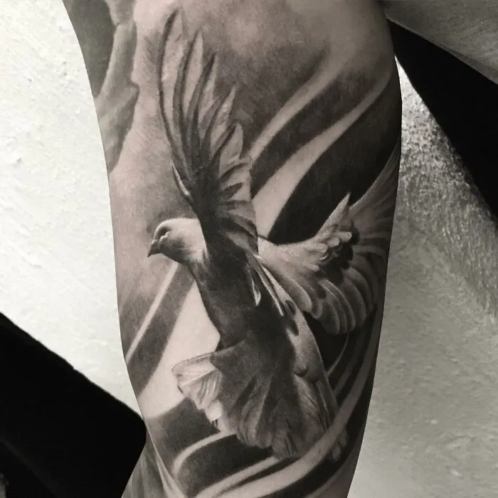 Black and gray realism tattoo of a dove in flight by Swedish artist.