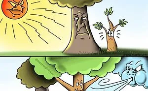 50 Illustrations By "Success Pictures" That Might Motivate You
