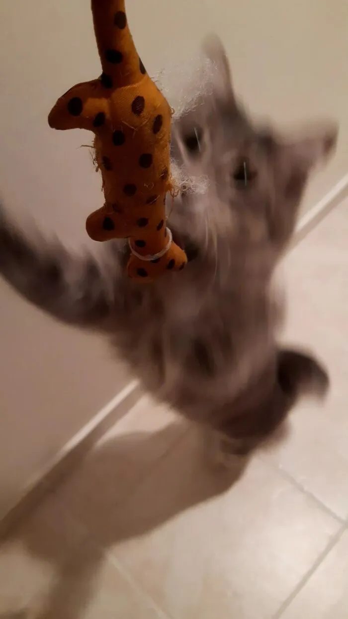 Catch!
