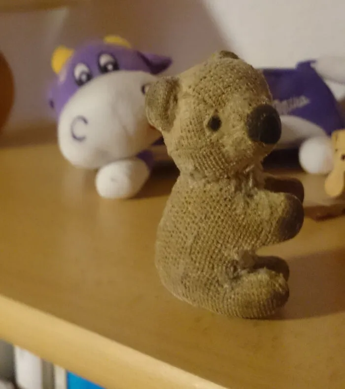 My First Teddy