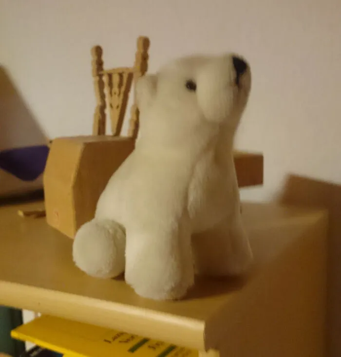 My Polar Bear Rescued From The Crawl Crane 30 Years Ago!