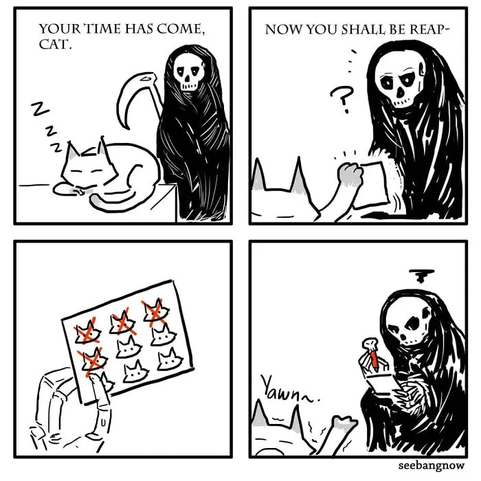 30 Comics That Show What Living With A Cat Is Really Like, By Xibang