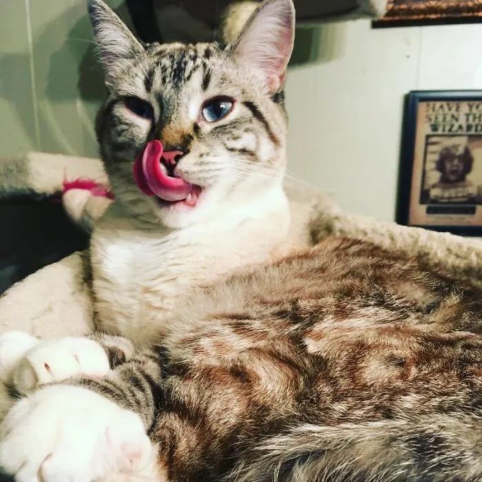 Sassy Mae