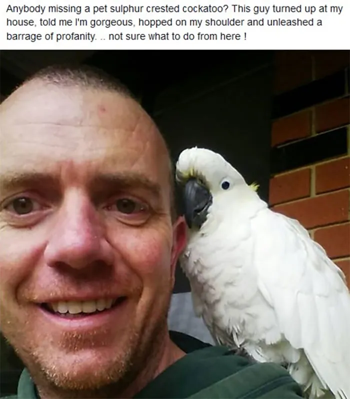 Saw This On My Local Facebook Page
