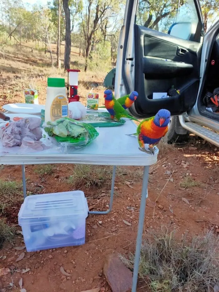 Camping In Australia