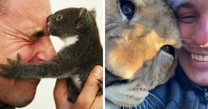 Australian Zookeeper Shares The Behind-The-Scenes Of Running A Wildlife Park (21 Pics)