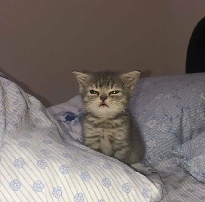 The Alarm Didn’t Work And He Overslept. Boss Won’t Like This