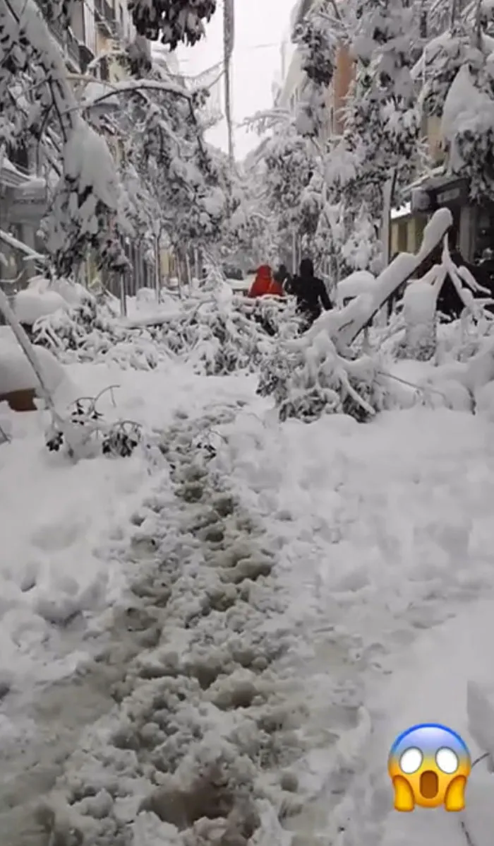 Snowfall