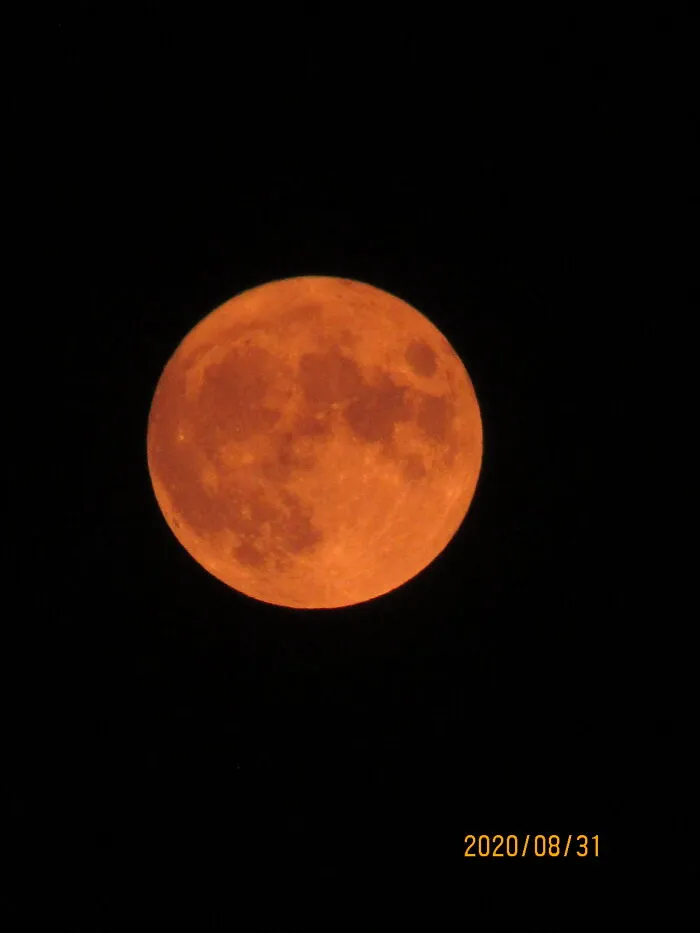 Bloody Moon