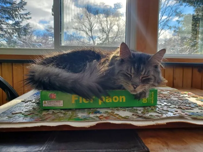 I Is Helping