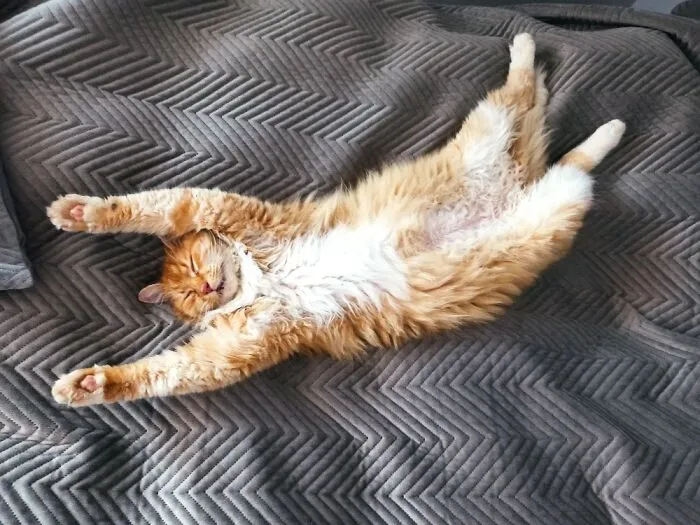 Just Chillin'