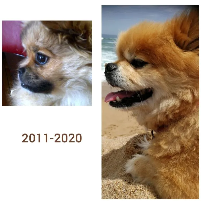 Po 2011 To 2020