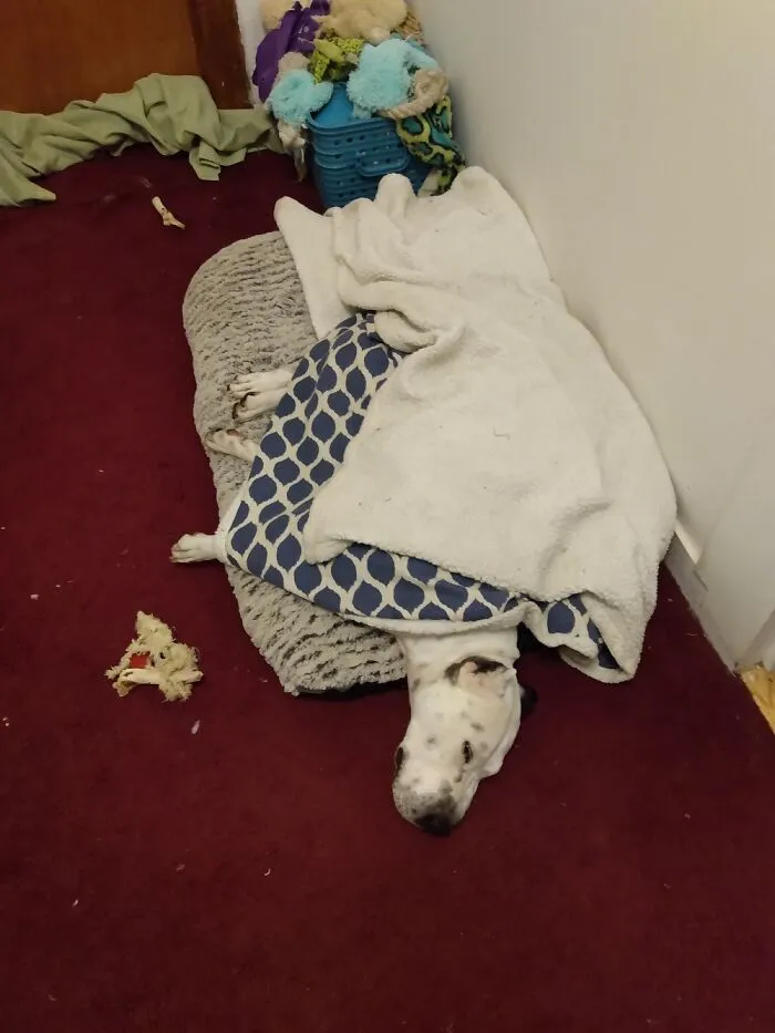 Sigh...i Hope Mom Doesn't See Those Pics Of Me Last Night. What A Crazy Night