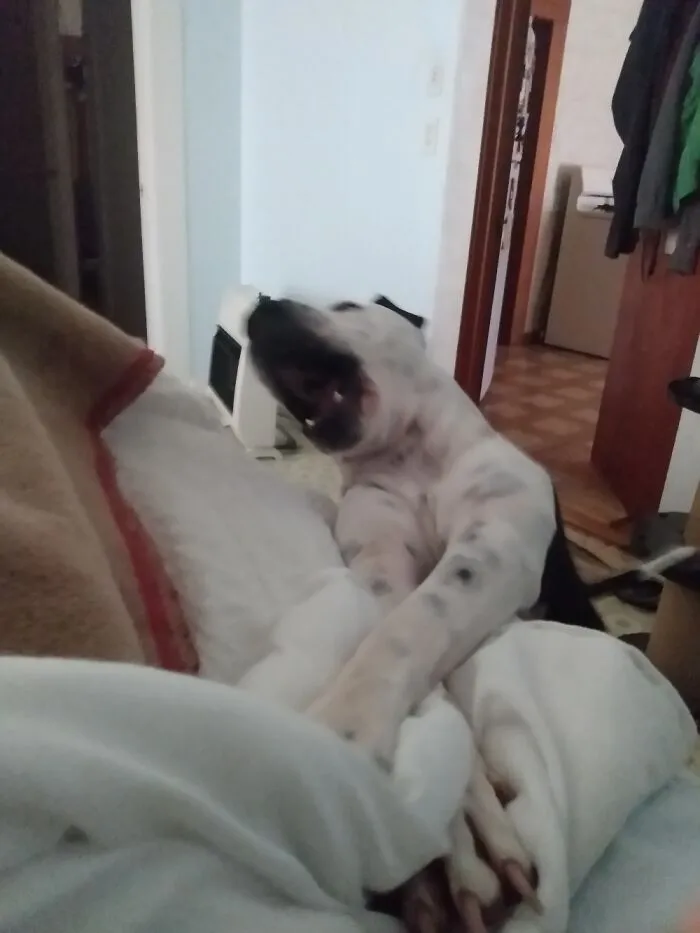 Mooooom..... Wake....uuuuuup Already!