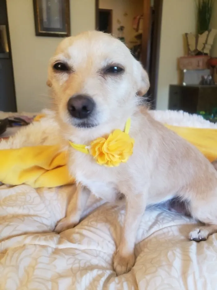 She Makes This Precious Face When I Tell Her  "I Love You!"