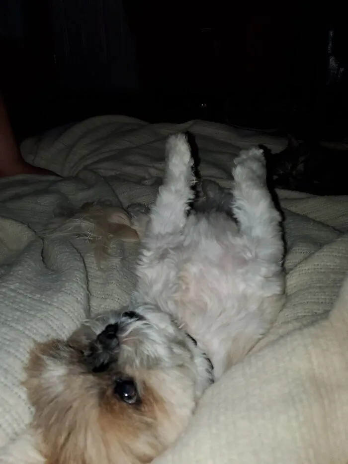 Just Chillin