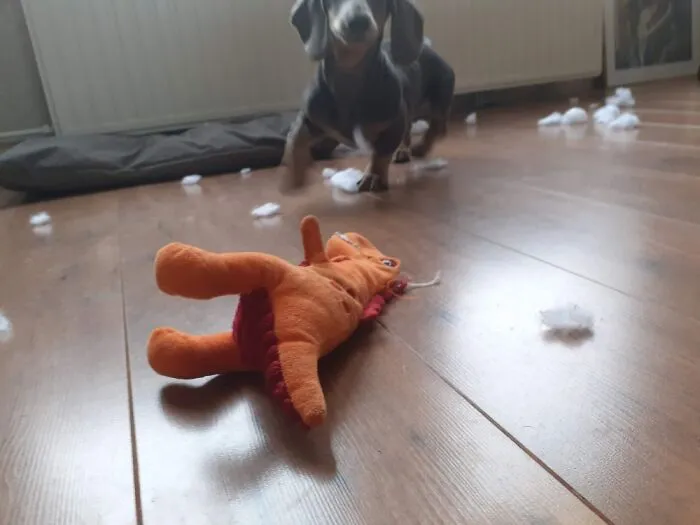 Must.destroy.everything!