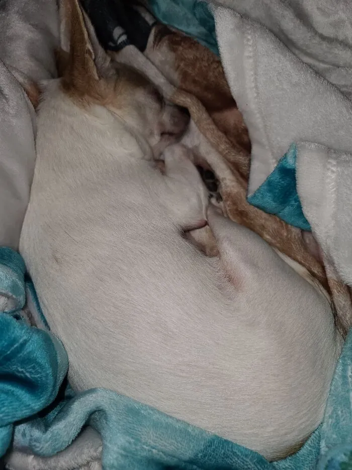 Zzzzzz.