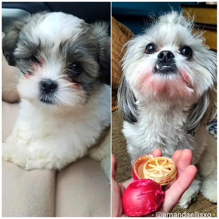 Fiona Grew Up To Be Quite The Diva.  (Insert Guilty Face)