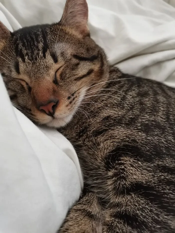 Oli At 8 Months