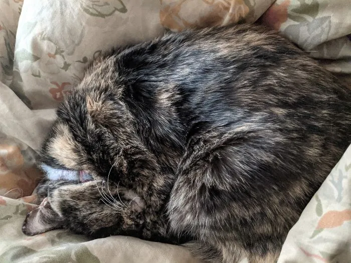 She Is The Best Cuddler