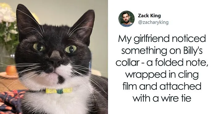 Cat Brings Its Parents A Note From The Neighbors He Visits, They Become Pen Pals With The Cat As Their Postman