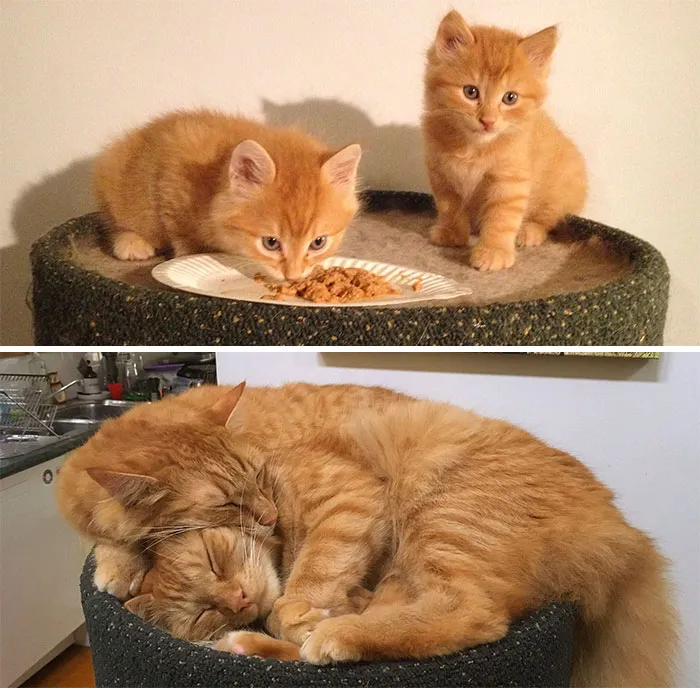 They Grow Up So Fast, Don't They?