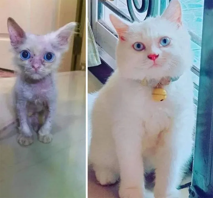 Before And After. What A Transformation