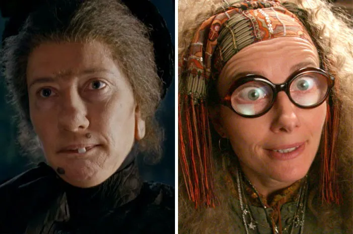 Nanny Mcphee From Nanny Mcphee And Prof. Sybil Trelawney From Harry Potter