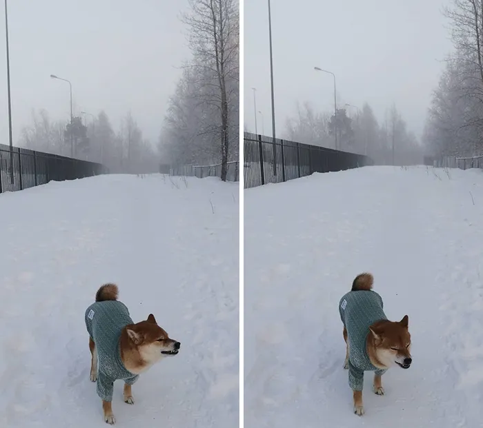 30 imágenes que muestran el increíble frío que hace en Rusia ahora mismo