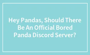Hey Pandas, Should There Be An Official Bored Panda Discord Server? (Closed)