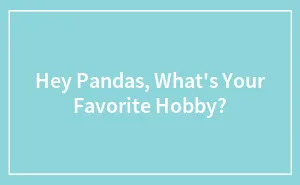 Hey Pandas, What's Your Favorite Hobby? (Closed)