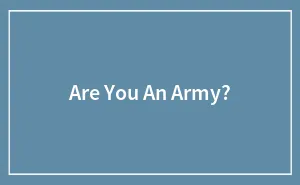 Are You An Army?