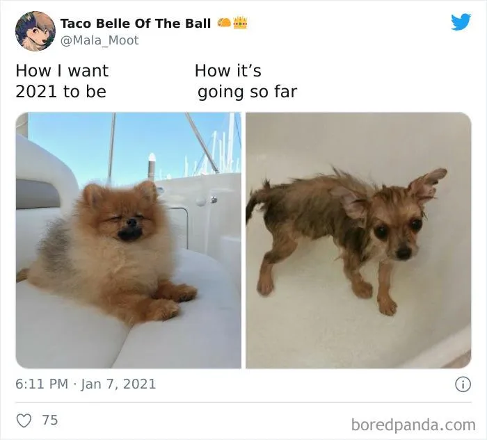 People Are Already Getting Disappointed In The Year 2021, And Here's 50 Of The Funniest Jokes They Made
