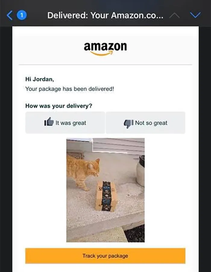 This Is My Porch, Not My Cat