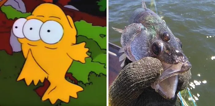 Three-Eyed Fish