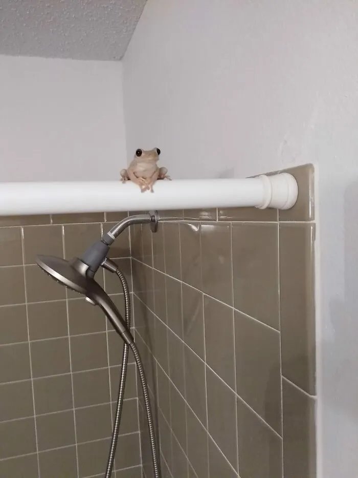 ¿Qué crees que quiere decirme este tipo? Supongo que nunca lo sabré. ¡Como no pagaba el alquiler lo desalojé!