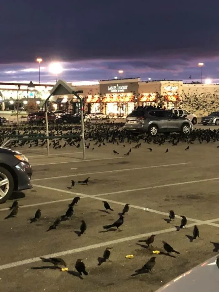 Tomé esta foto después de salir de mi coche para ir a una tienda