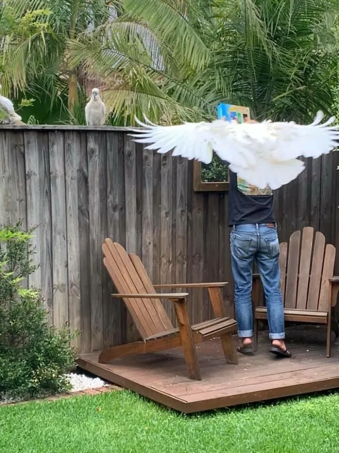 Mi marido tiene alas
