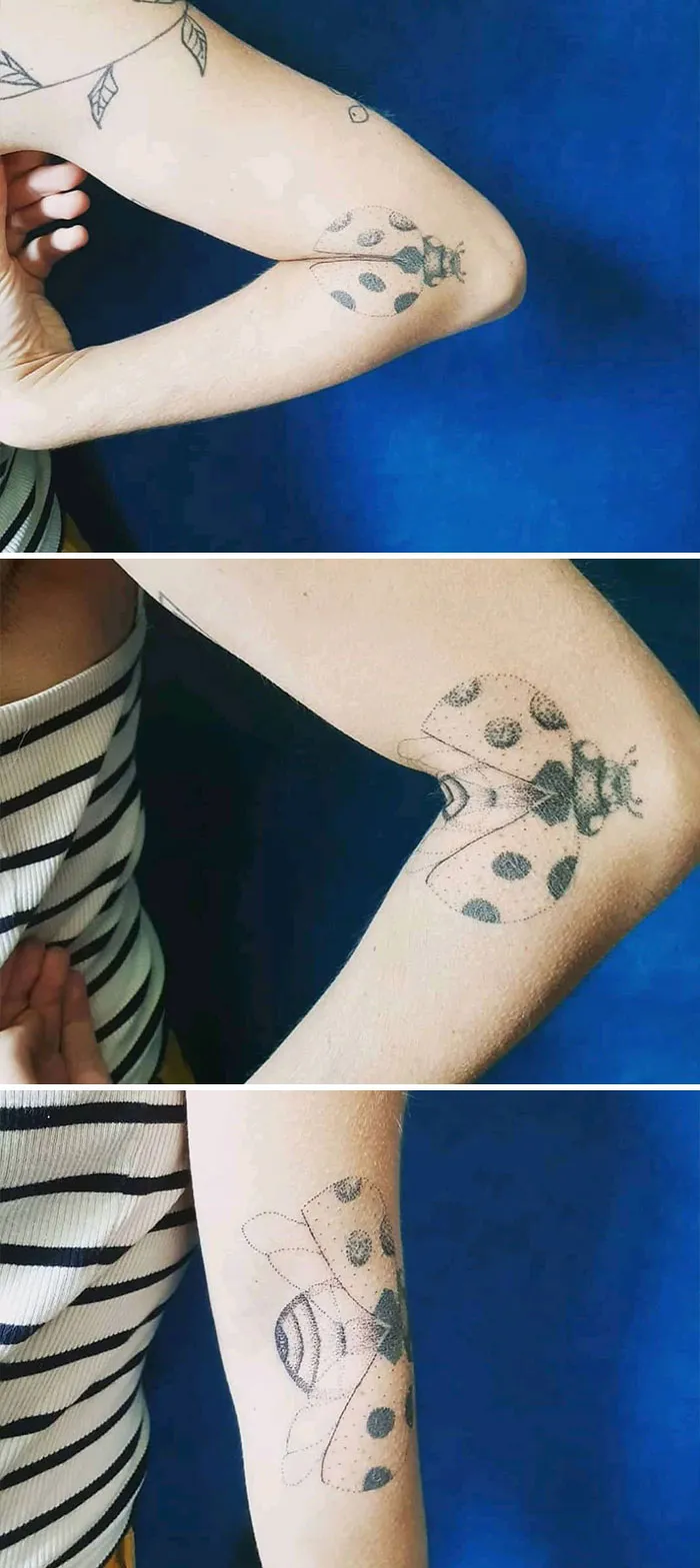 Creative tattoo of a ladybug transforms into a bee as arm moves.